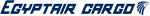 Egyptair Cargo logo