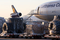 Lufthansa Cargo