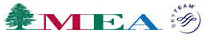 Middle East Airlines